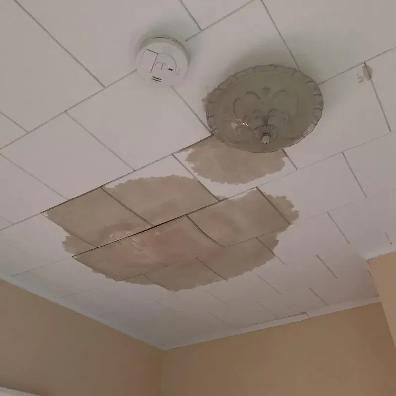 Ceiling Water Damage Repair in Glenwood Landing, NY